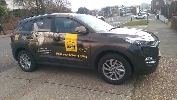 5 door hatchback with digitally printed vinyl wrap to sides of car showing a relaxed cat promoting Cats Protection Charity
