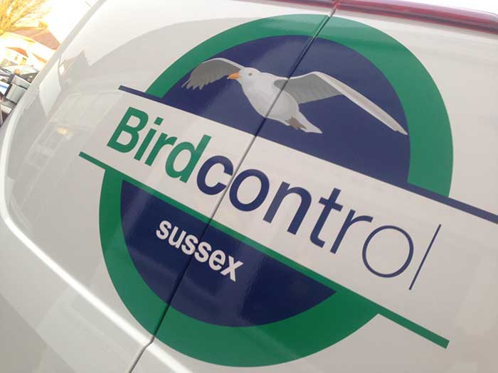 Printed vinyl decal advertising CleanKil pest control van Bird Control division in Sussex
